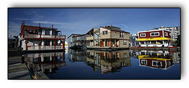 Vancounver Island views